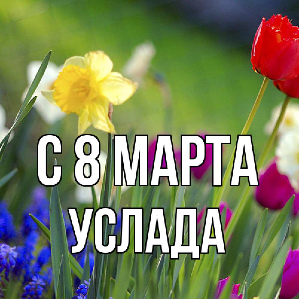 Открытка на каждый день с именем, услада C 8 МАРТА международный женский день 3 Прикольная открытка с пожеланием онлайн скачать бесплатно 