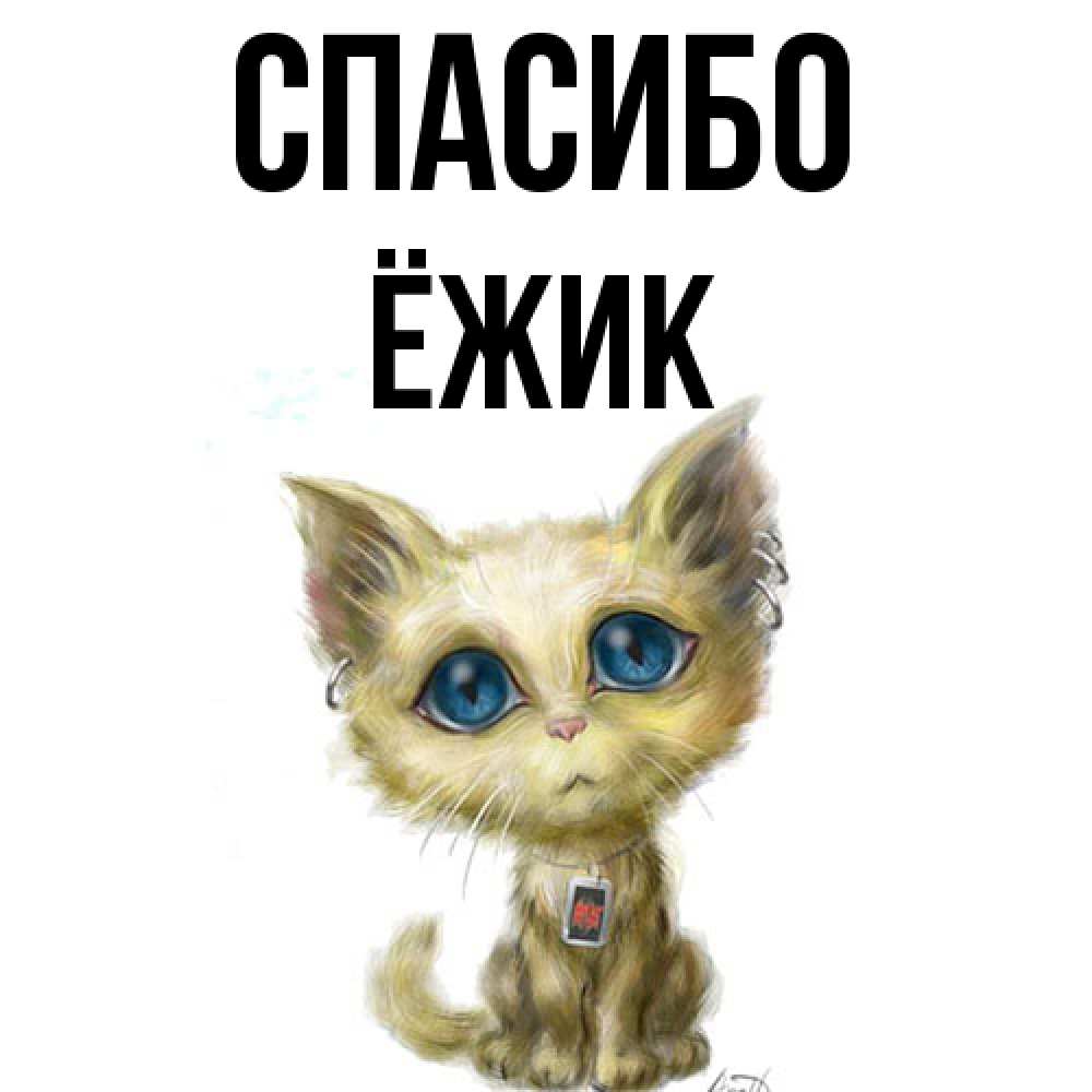 Открытка на каждый день с именем, Ёжик Спасибо рисованный кот благодарит вас Прикольная открытка с пожеланием онлайн скачать бесплатно 