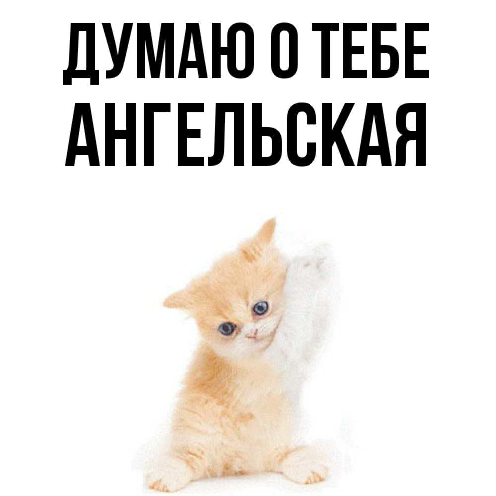 Открытка на каждый день с именем, Ангельская Думаю о тебе зверушки и милота Прикольная открытка с пожеланием онлайн скачать бесплатно 