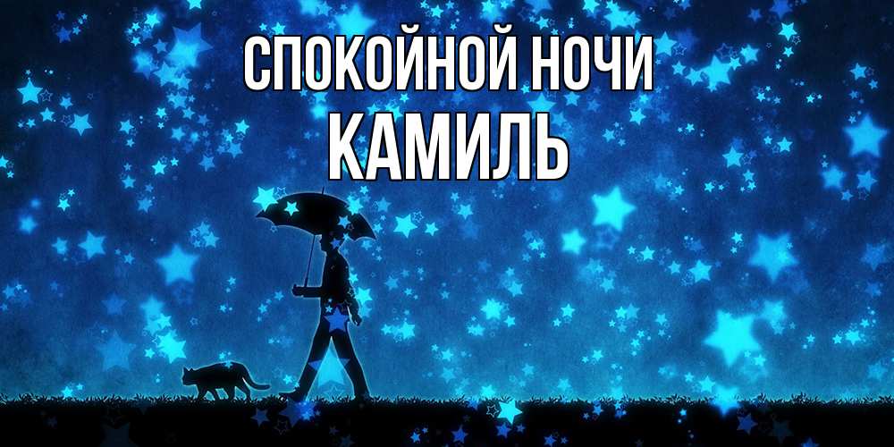 Открытка на каждый день с именем, Камиль Спокойной ночи ночные прогулки с котом под звездами Прикольная открытка с пожеланием онлайн скачать бесплатно 