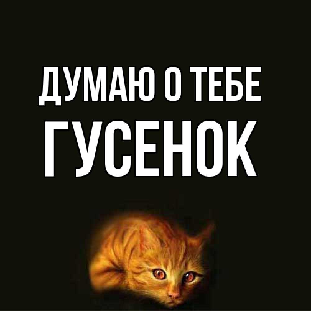 Открытка на каждый день с именем, гусенок Думаю о тебе рыжий Прикольная открытка с пожеланием онлайн скачать бесплатно 
