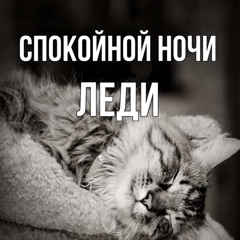 Картинка Спокойной ночи, леди