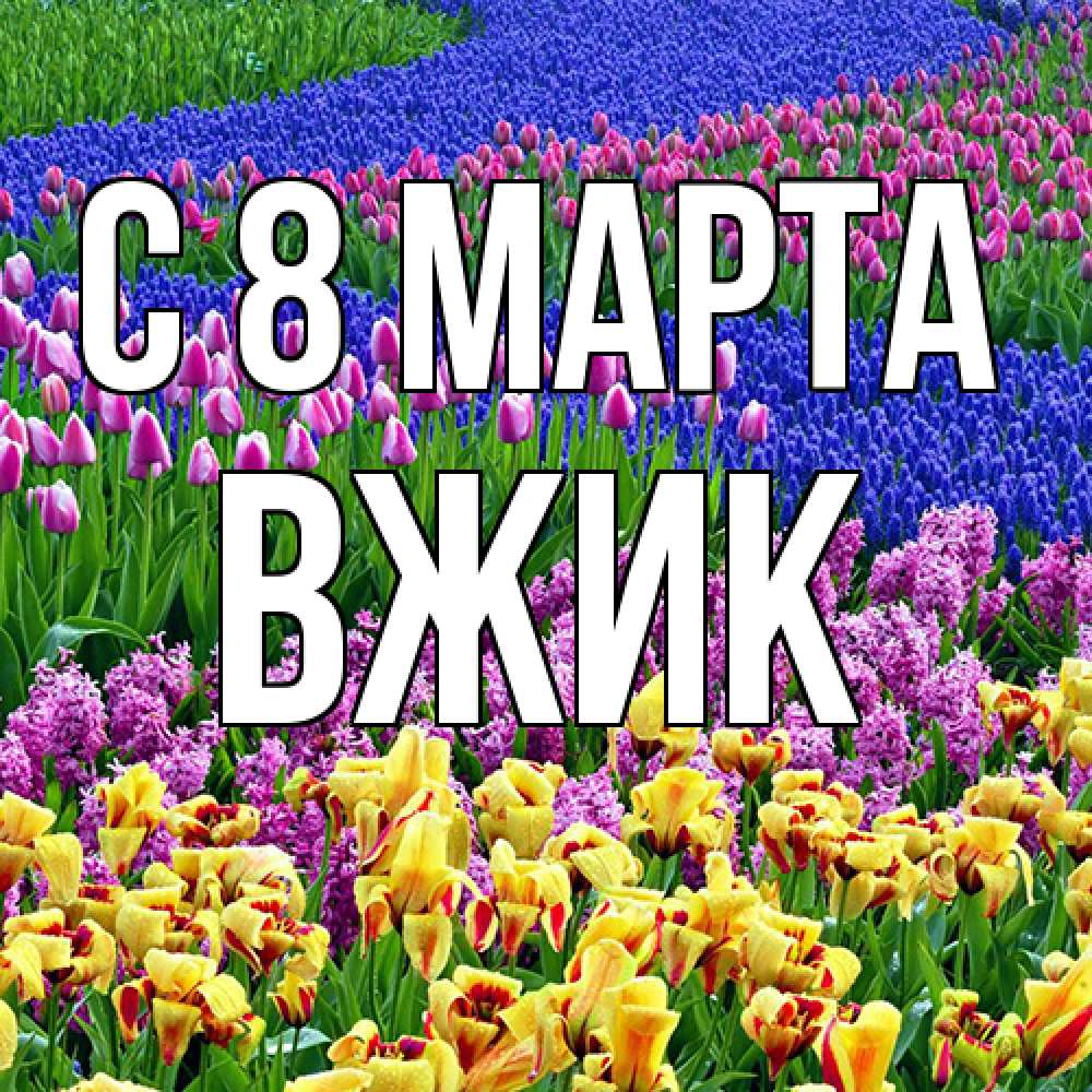 Открытка на каждый день с именем, Вжик C 8 МАРТА цветы Прикольная открытка с пожеланием онлайн скачать бесплатно 