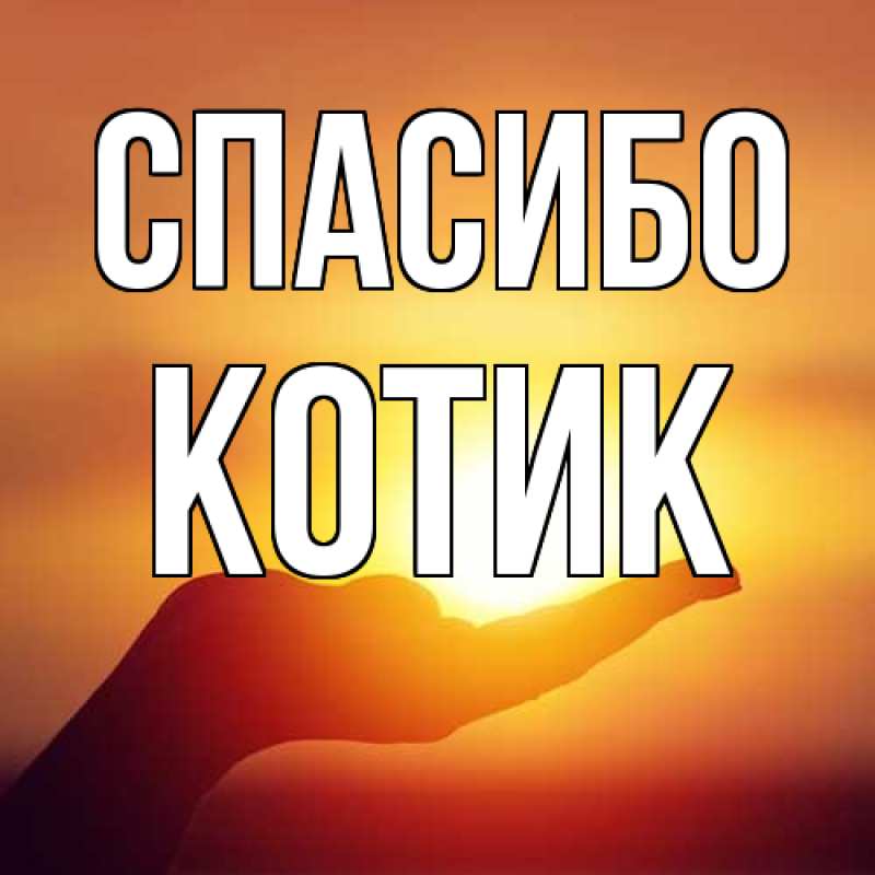 Картинка Спасибо, Котик