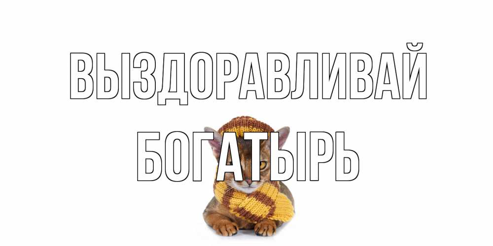 Открытка на каждый день с именем, Богатырь Выздоравливай родные не болейте Прикольная открытка с пожеланием онлайн скачать бесплатно 