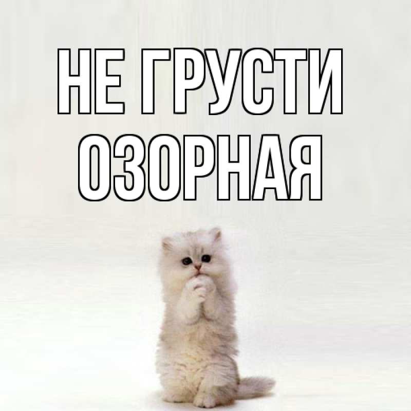 Картинка Не грусти, Озоpная