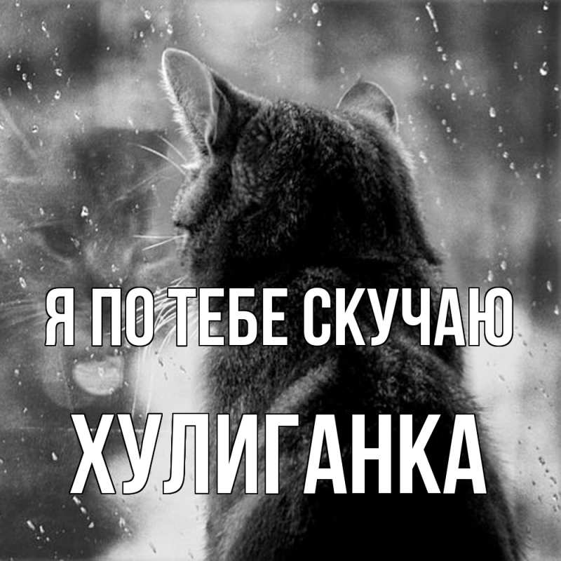 Картинка Я по тебе скучаю, Хулиганка