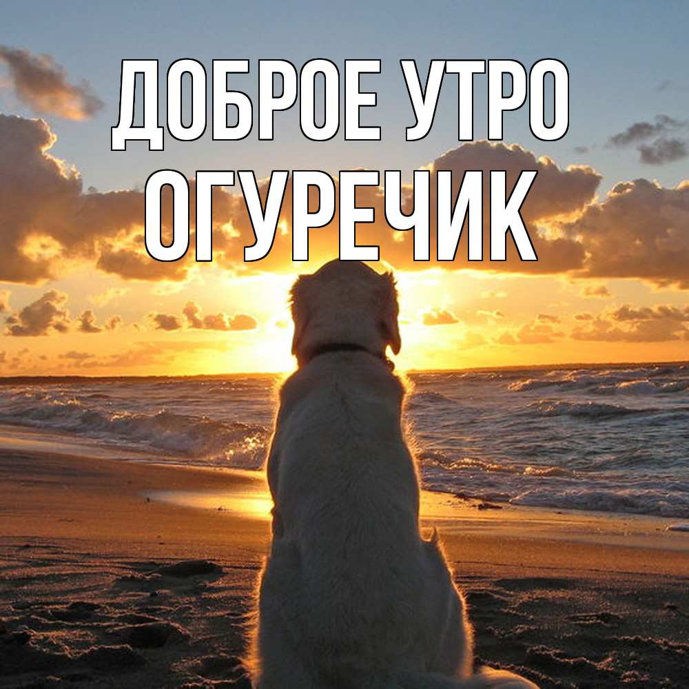 Открытка на каждый день с именем, Огуречик Доброе утро восход солнца Прикольная открытка с пожеланием онлайн скачать бесплатно 