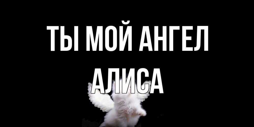 Открытка на каждый день с именем, Алиса Ты мой ангел Кот ангел Прикольная открытка с пожеланием онлайн скачать бесплатно 