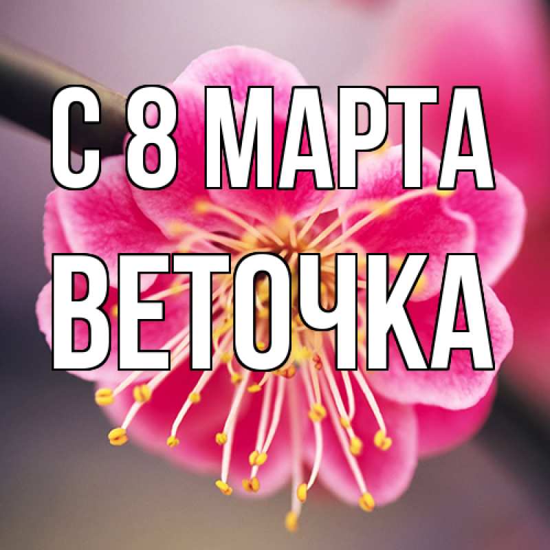 Картинка C 8 МАРТА, Веточка