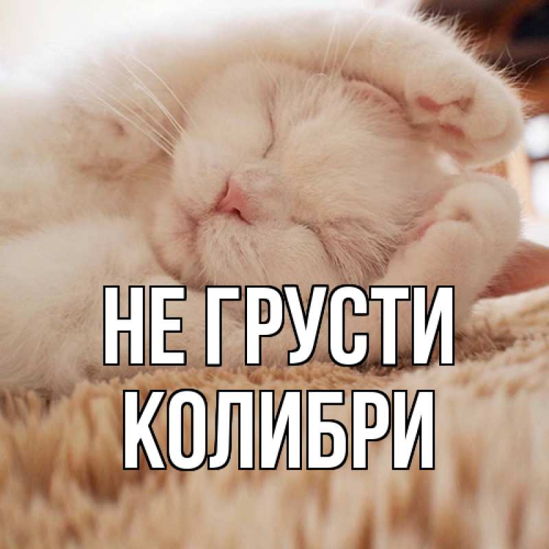 Картинка Не грусти, Колибри