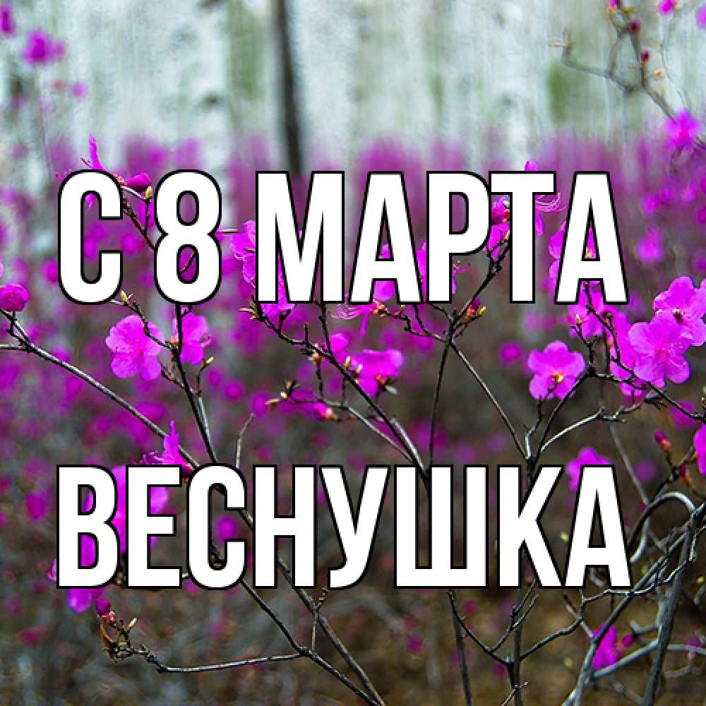 Открытка на каждый день с именем, веснушка C 8 МАРТА дикие цветы Прикольная открытка с пожеланием онлайн скачать бесплатно 