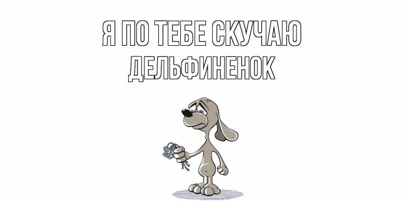Картинка Я по тебе скучаю, дельфиненок