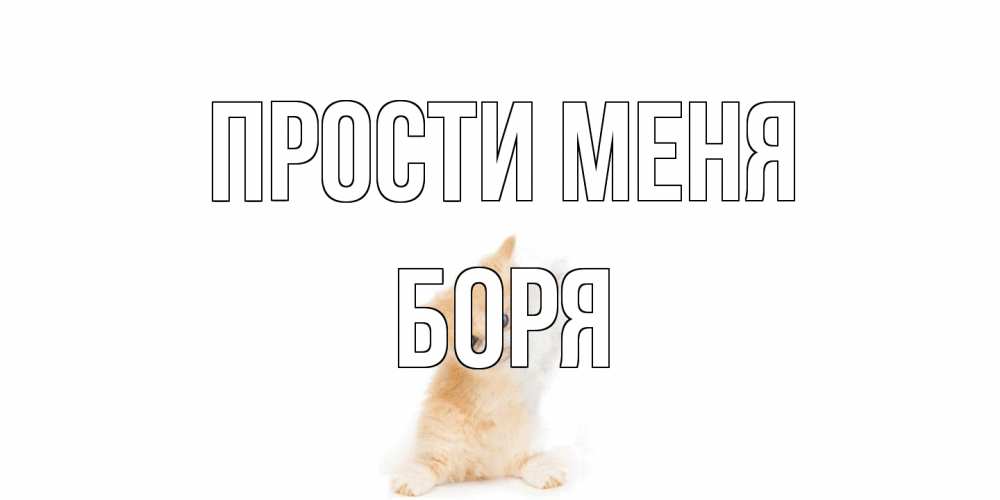 Открытка на каждый день с именем, Боря Прости меня кот Прикольная открытка с пожеланием онлайн скачать бесплатно 
