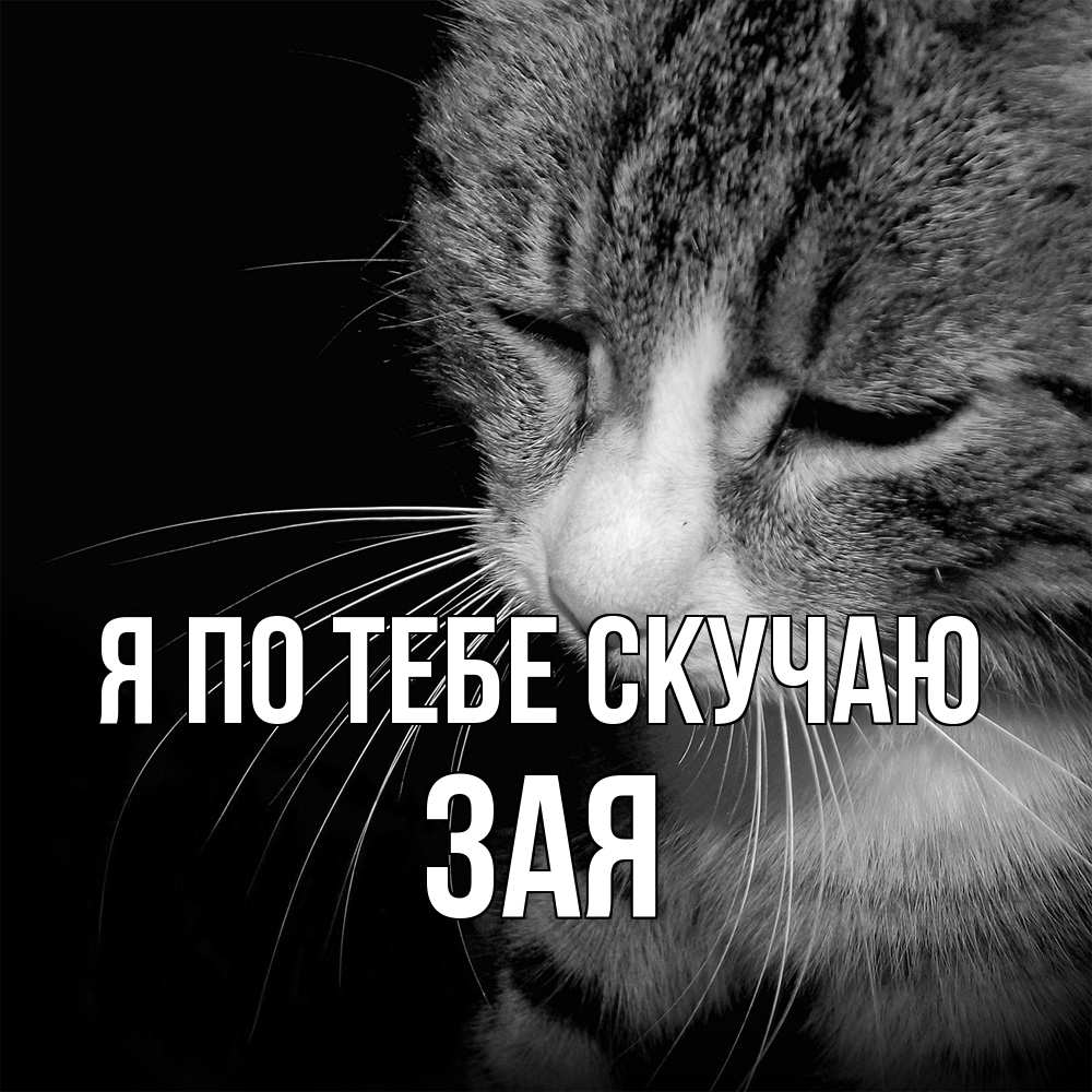 Открытка на каждый день с именем, Зая Я по тебе скучаю мне скучно Прикольная открытка с пожеланием онлайн скачать бесплатно 