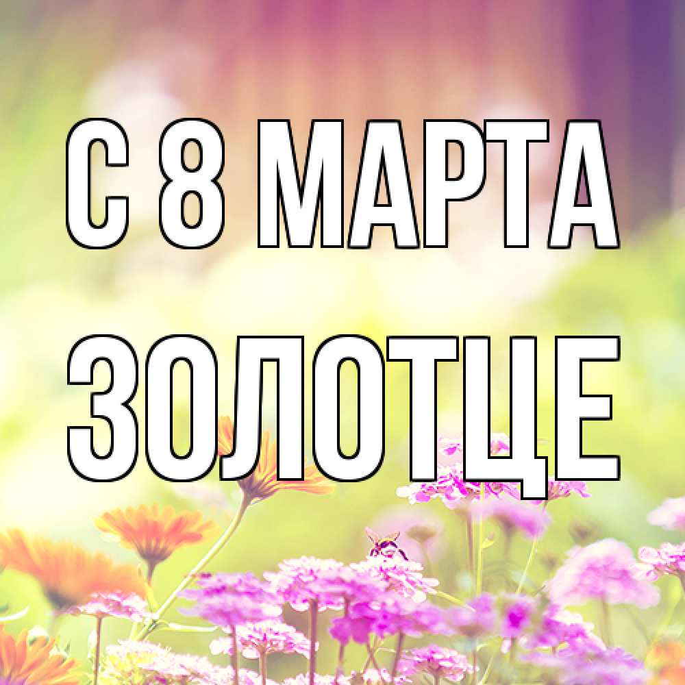 Открытка на каждый день с именем, Золотце C 8 МАРТА цветы весна Прикольная открытка с пожеланием онлайн скачать бесплатно 