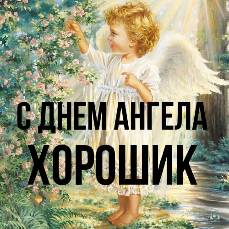 Картинка С днем ангела, Хорошик