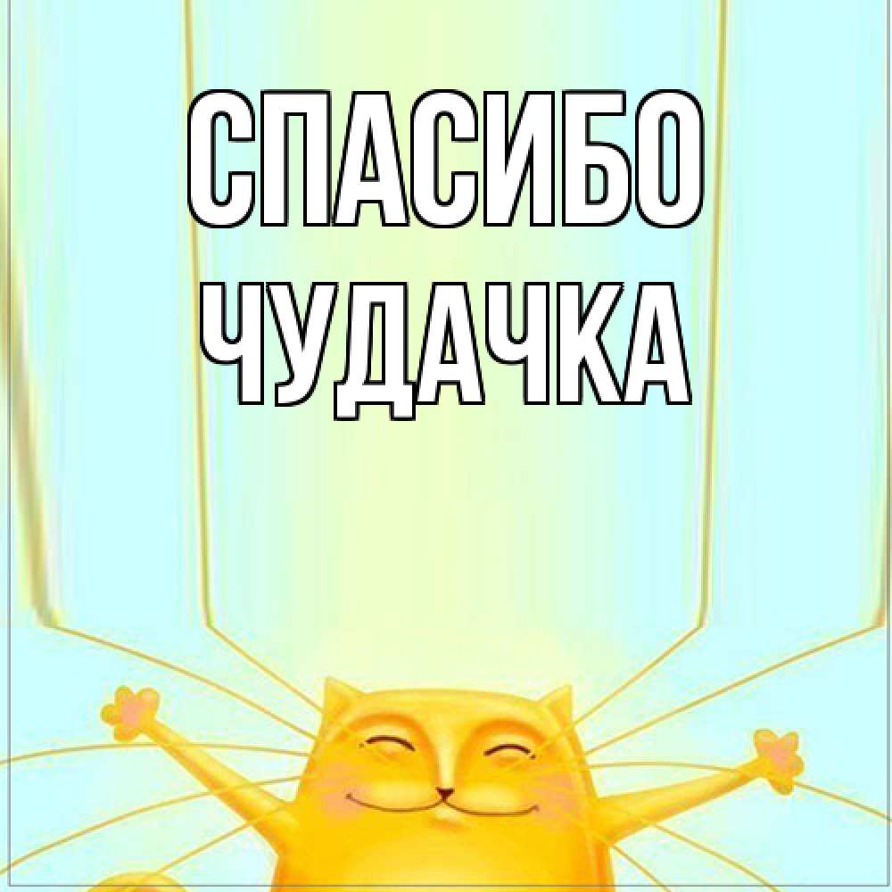 Открытка на каждый день с именем, Чудачка Спасибо кот с усами благодарит Прикольная открытка с пожеланием онлайн скачать бесплатно 