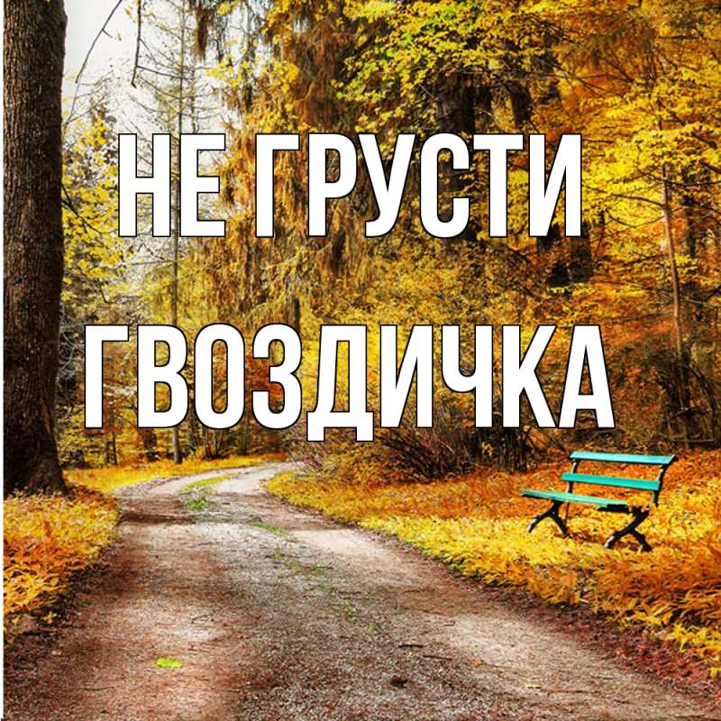 Картинка Не грусти, Гвоздичка