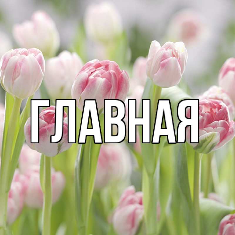 Картинка  с именем , настя