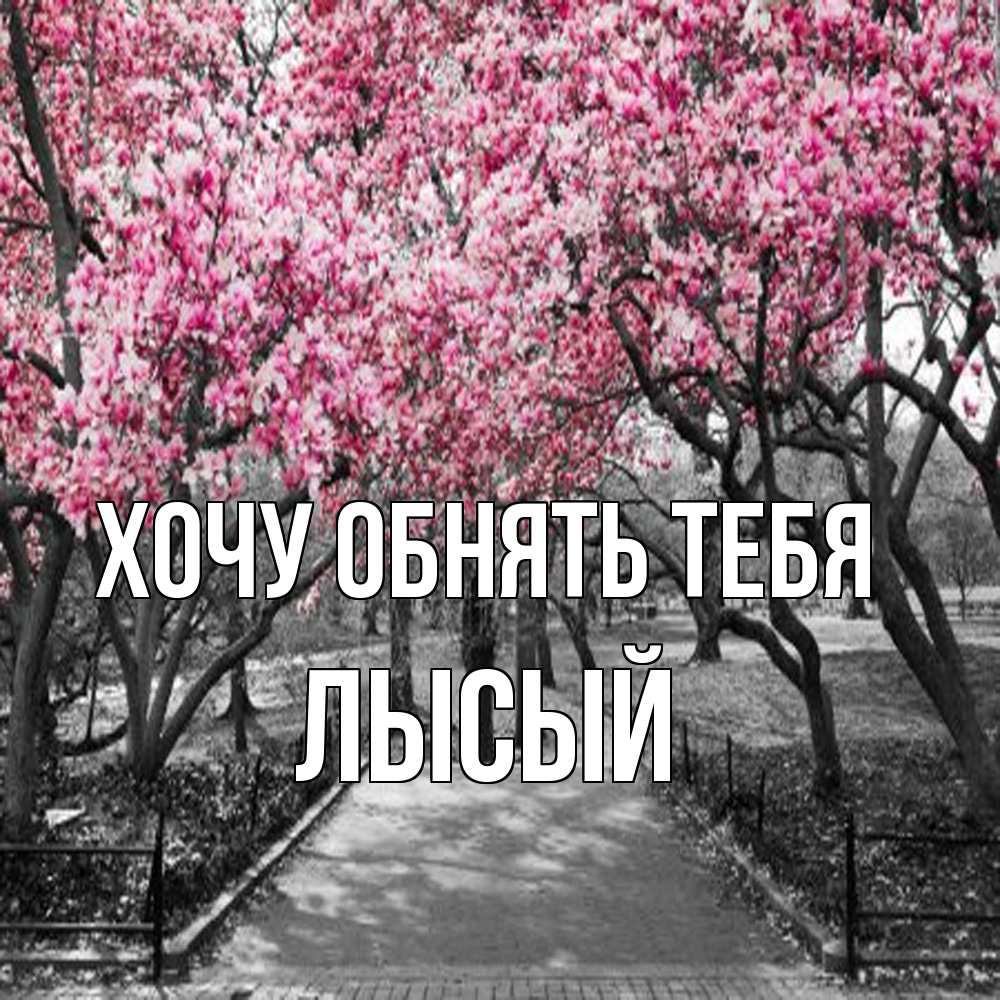 Открытка на каждый день с именем, Лысый Хочу обнять тебя обработанное фото Прикольная открытка с пожеланием онлайн скачать бесплатно 
