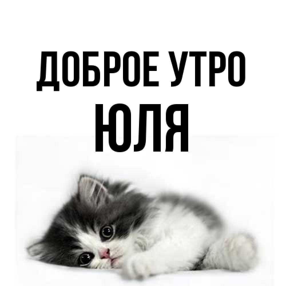 Открытка на каждый день с именем, Юля Доброе утро кот лапки Прикольная открытка с пожеланием онлайн скачать бесплатно 