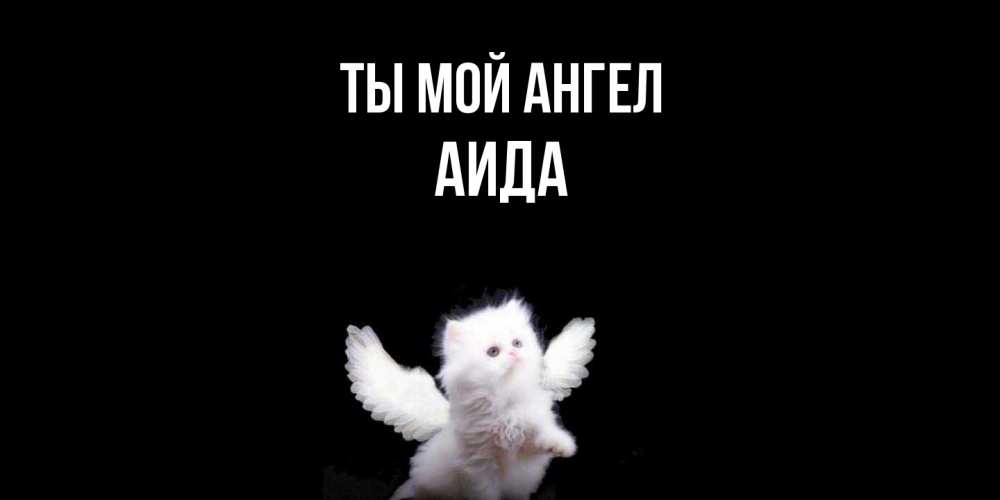 Открытка на каждый день с именем, Аида Ты мой ангел Кот ангел Прикольная открытка с пожеланием онлайн скачать бесплатно 