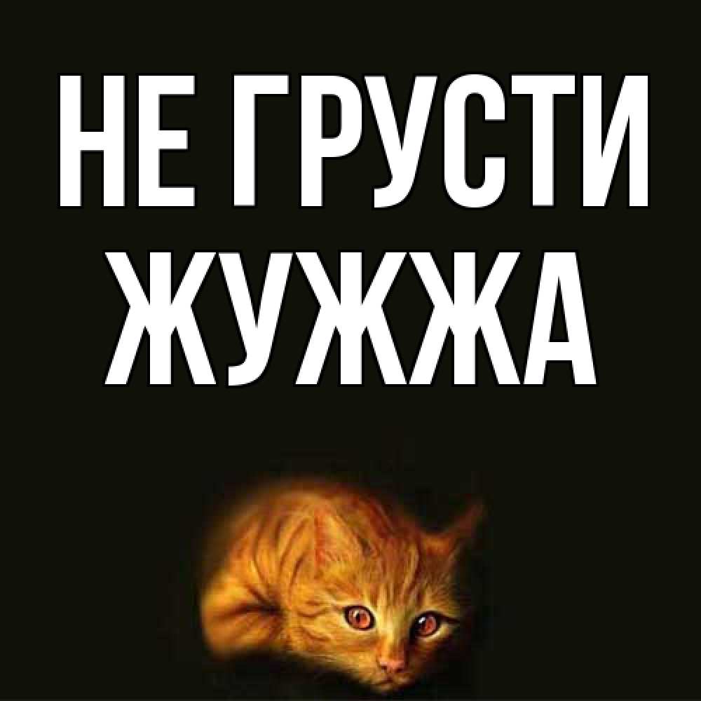 Открытка на каждый день с именем, Жужжа Не грусти лежащий кот в темноте Прикольная открытка с пожеланием онлайн скачать бесплатно 