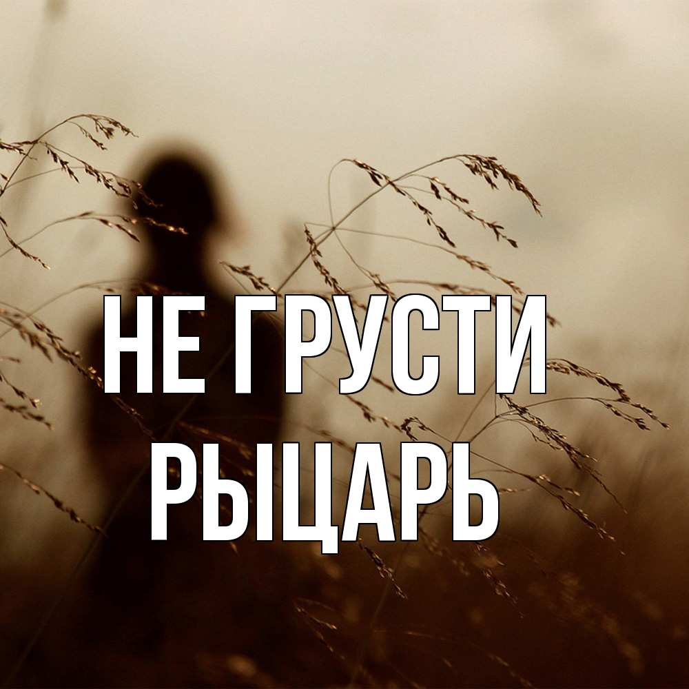 Открытка на каждый день с именем, Рыцарь Не грусти грусть Прикольная открытка с пожеланием онлайн скачать бесплатно 