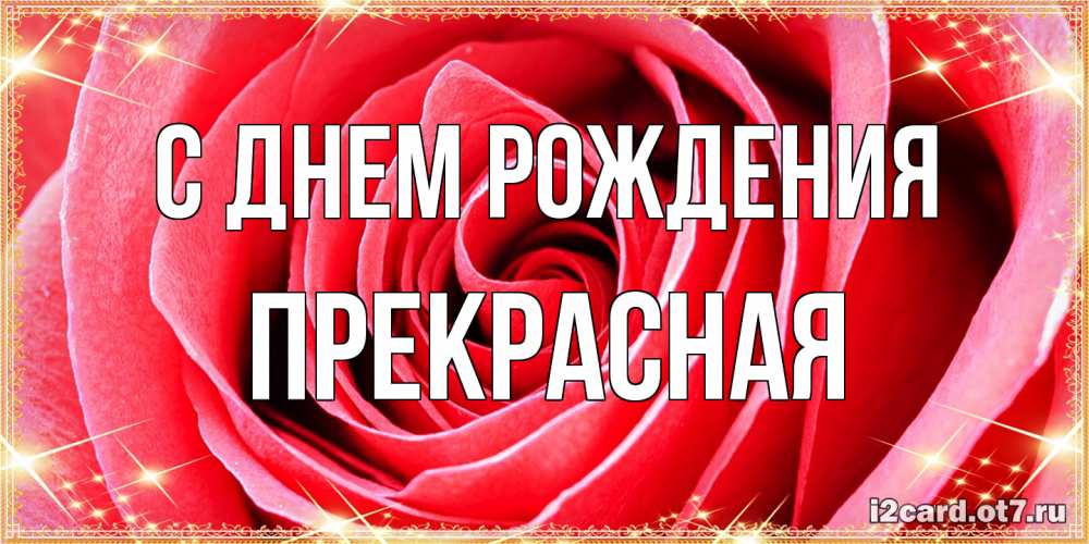 Открытка на каждый день с именем, Пpекpасная С днем рождения розовая роза очень крупный бутон Прикольная открытка с пожеланием онлайн скачать бесплатно 