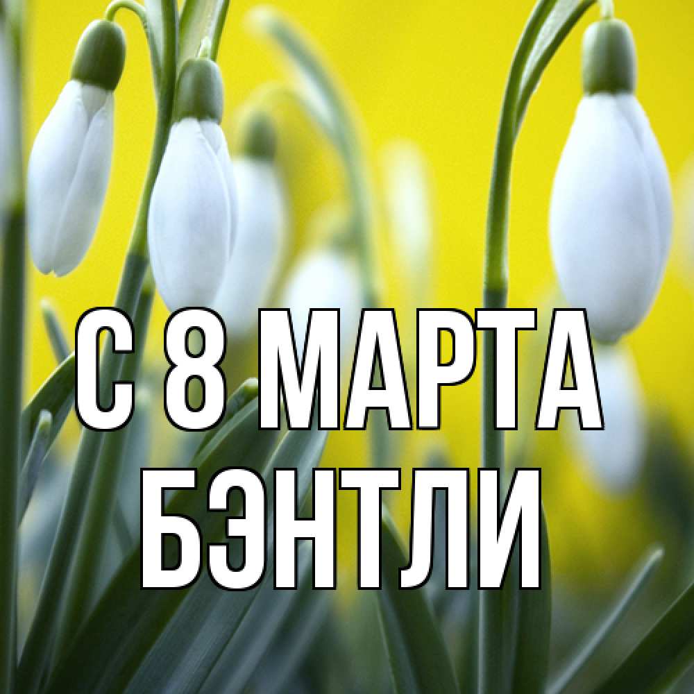 Открытка на каждый день с именем, Бэнтли C 8 МАРТА весенние цветы Прикольная открытка с пожеланием онлайн скачать бесплатно 