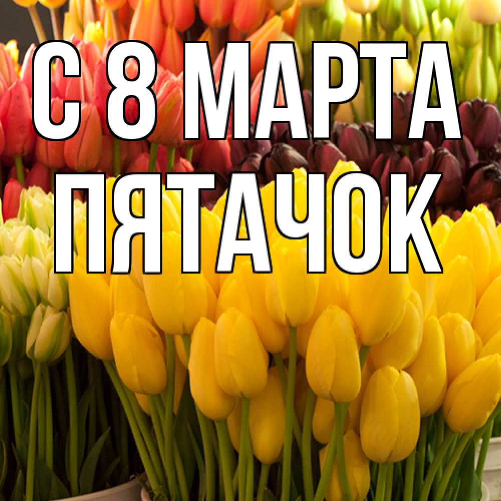 Открытка на каждый день с именем, Пятачок C 8 МАРТА цветы Прикольная открытка с пожеланием онлайн скачать бесплатно 
