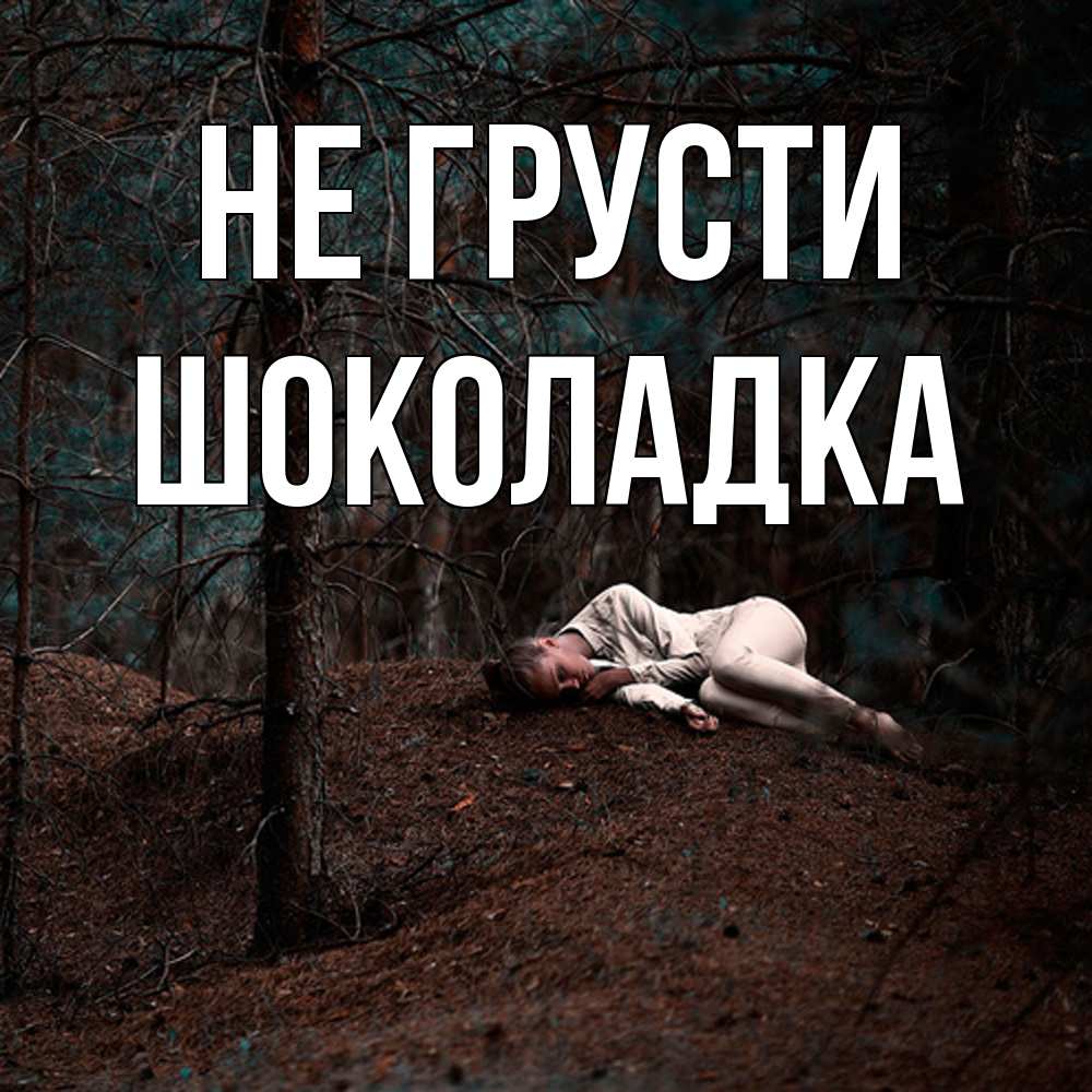 Открытка на каждый день с именем, Шоколадка Не грусти лес Прикольная открытка с пожеланием онлайн скачать бесплатно 