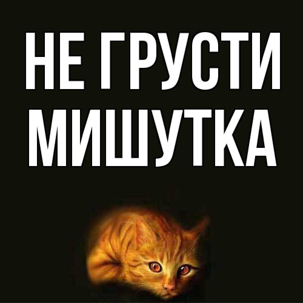 Открытка на каждый день с именем, Мишутка Не грусти лежащий кот в темноте Прикольная открытка с пожеланием онлайн скачать бесплатно 
