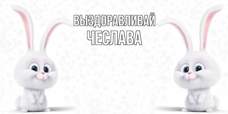 Картинка Выздоравливай, Чеслава