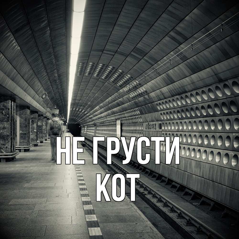 Открытка на каждый день с именем, Кот Не грусти пустая станция метро Прикольная открытка с пожеланием онлайн скачать бесплатно 