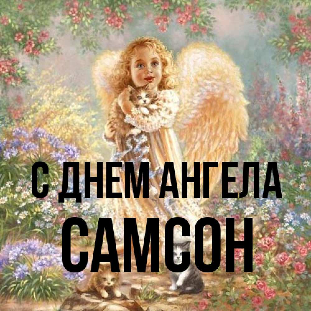 Открытка на каждый день с именем, Самсон С днем ангела держит котенка Прикольная открытка с пожеланием онлайн скачать бесплатно 