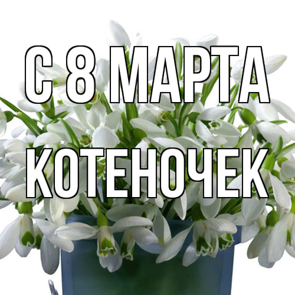 Открытка на каждый день с именем, Котеночек C 8 МАРТА цветы к международному женскому дню Прикольная открытка с пожеланием онлайн скачать бесплатно 