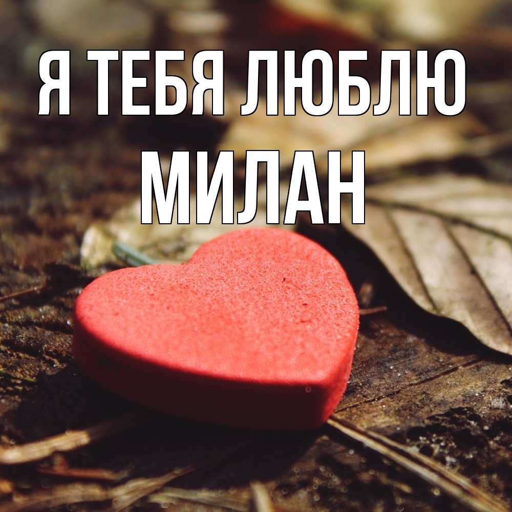 Открытка на каждый день с именем, Милан Я тебя люблю листья деревье 4 Прикольная открытка с пожеланием онлайн скачать бесплатно 