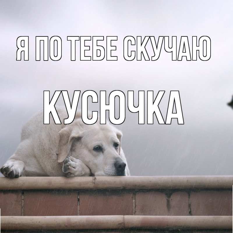 Картинка Я по тебе скучаю, Кусючка