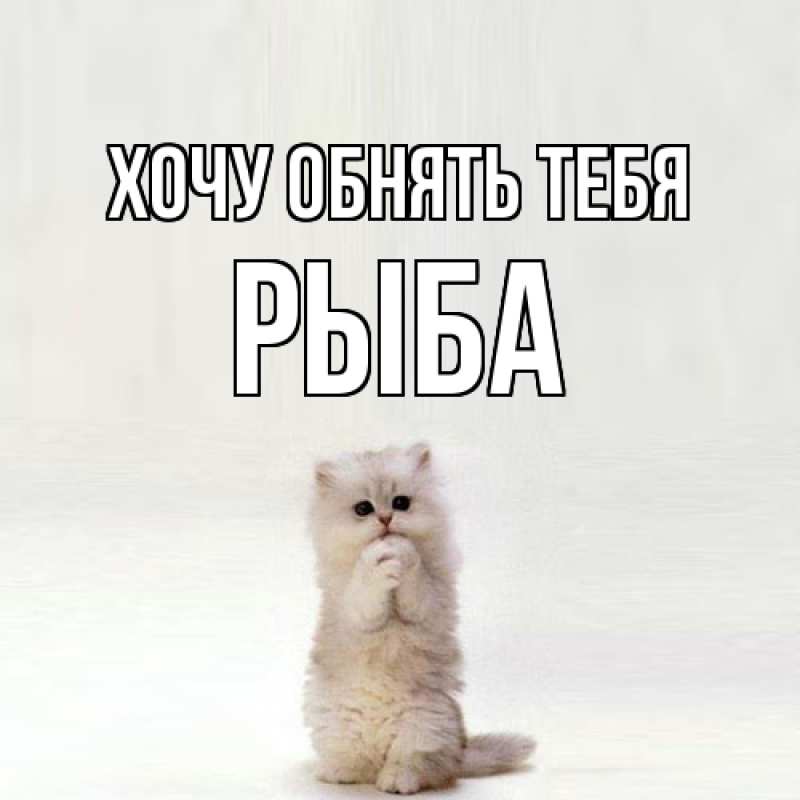 Картинка Хочу обнять тебя, Рыба