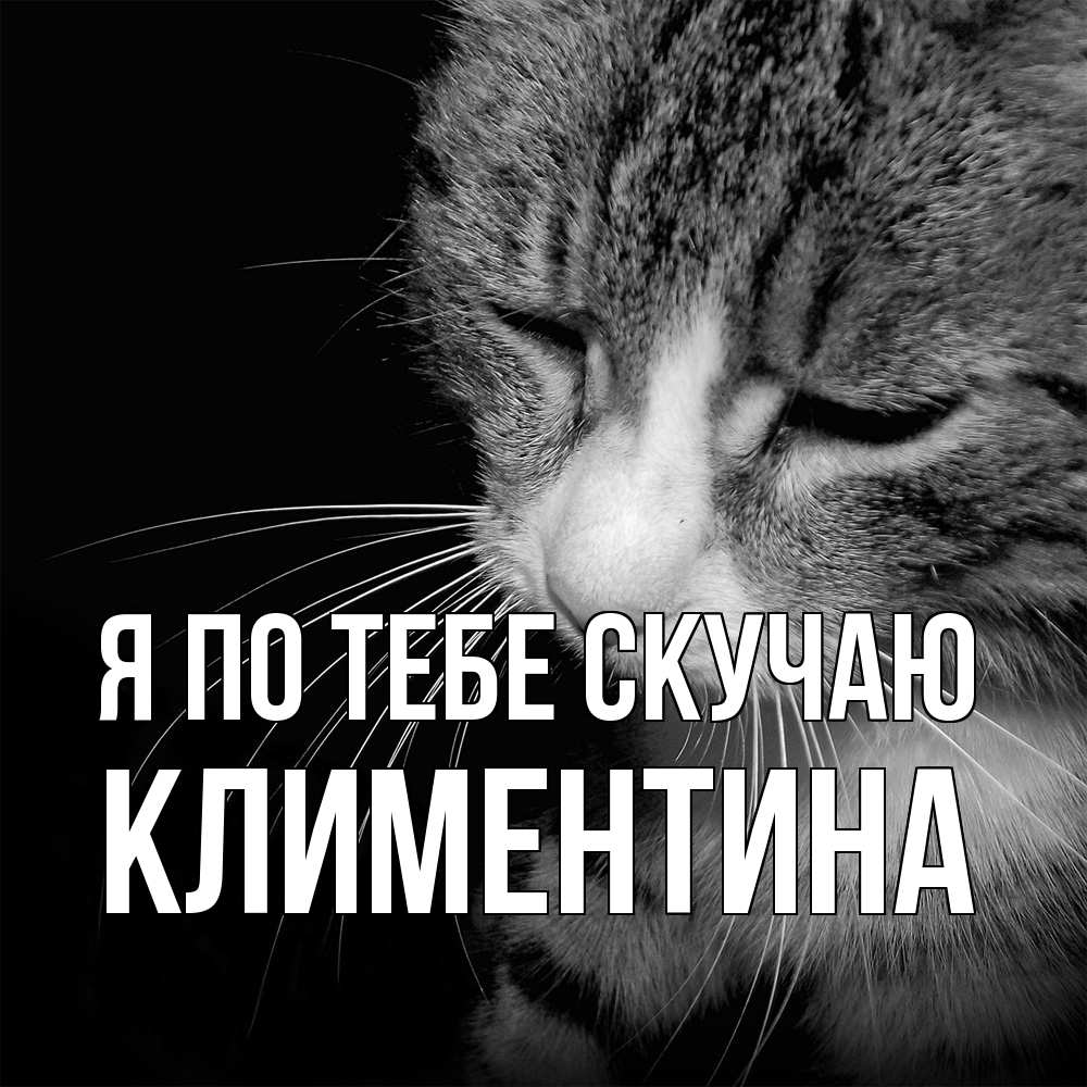 Открытка на каждый день с именем, Климентина Я по тебе скучаю мне скучно Прикольная открытка с пожеланием онлайн скачать бесплатно 