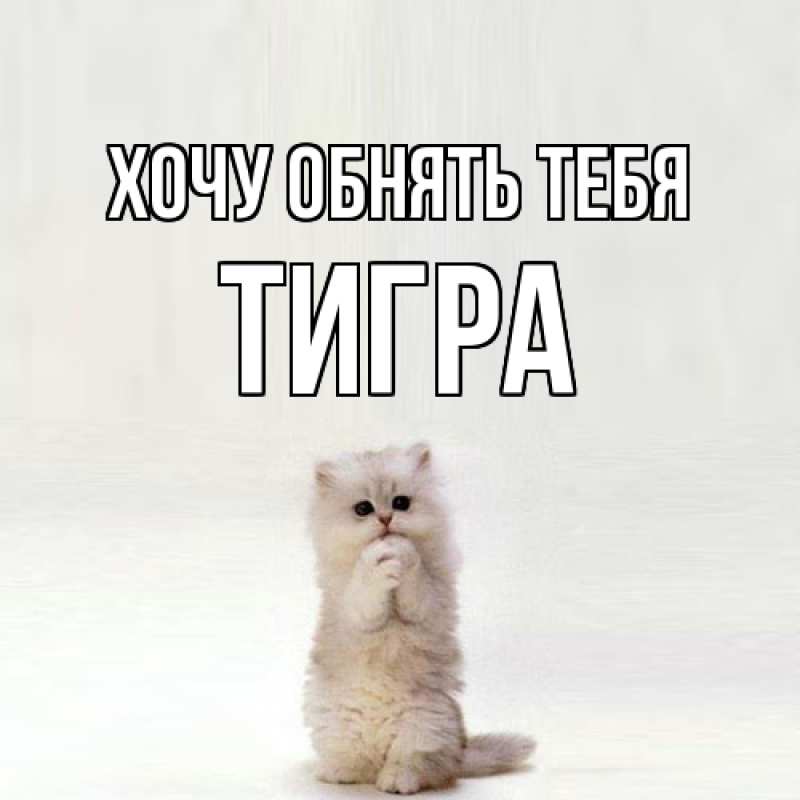 Картинка Хочу обнять тебя, Тигpа