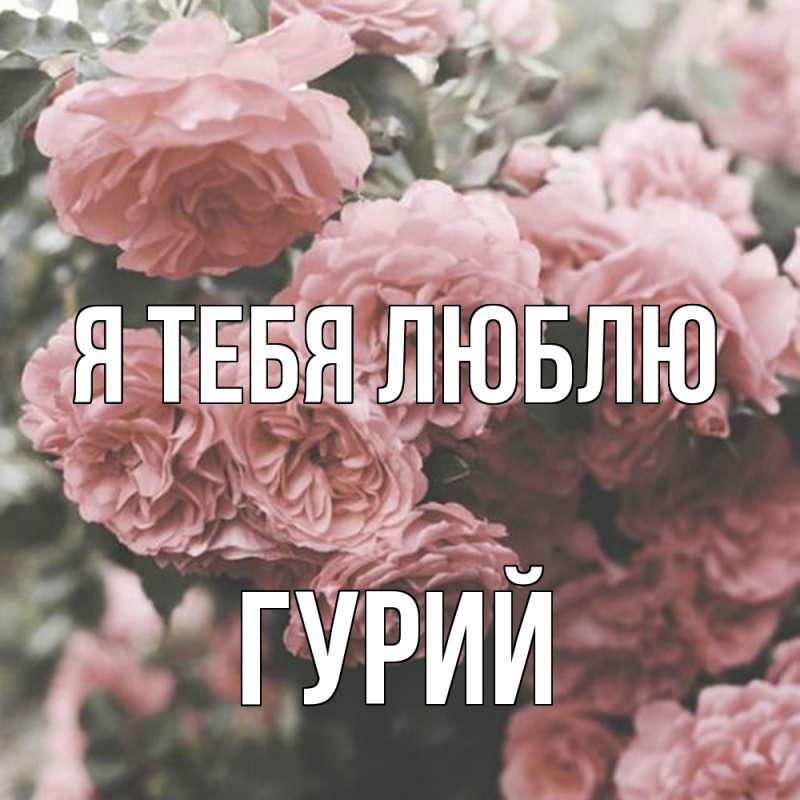 Картинка Я тебя люблю, Гурий