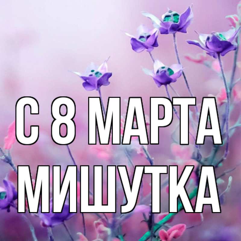Картинка C 8 МАРТА, Мишутка