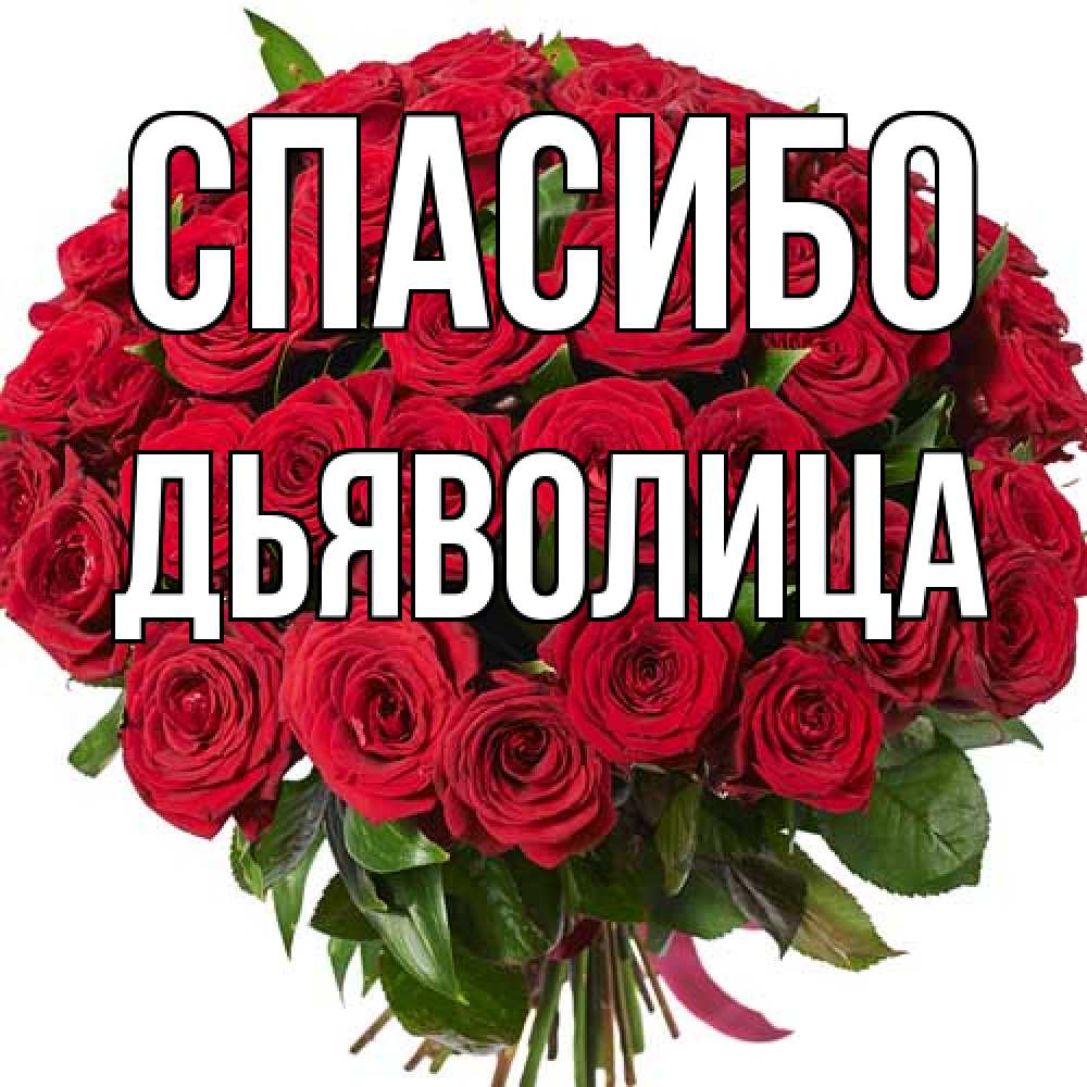 Открытка на каждый день с именем, Дьяволица Спасибо букет красных роз Прикольная открытка с пожеланием онлайн скачать бесплатно 