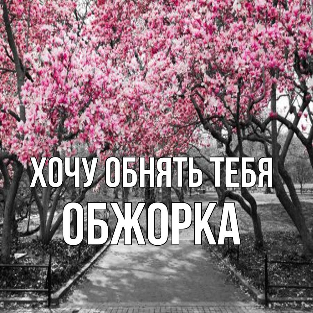 Открытка на каждый день с именем, Обжорка Хочу обнять тебя обработанное фото Прикольная открытка с пожеланием онлайн скачать бесплатно 