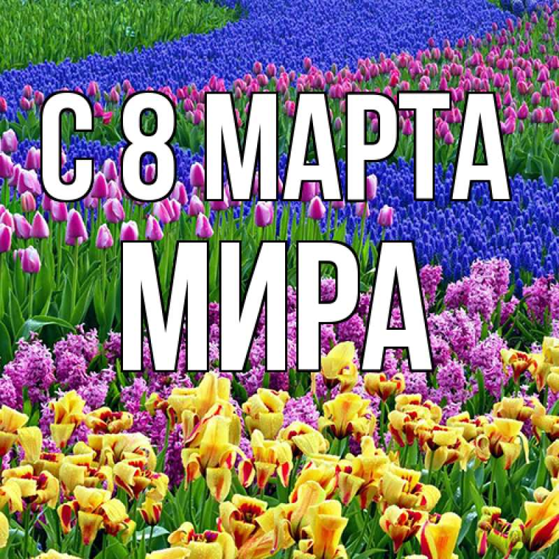 Картинка C 8 МАРТА, Мира