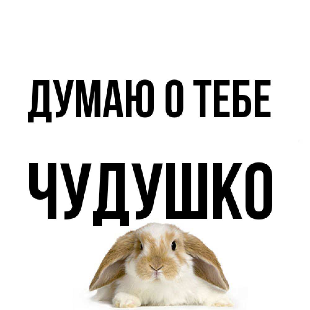 Открытка на каждый день с именем, Чудушко Думаю о тебе подписать своими руками онлайн Прикольная открытка с пожеланием онлайн скачать бесплатно 