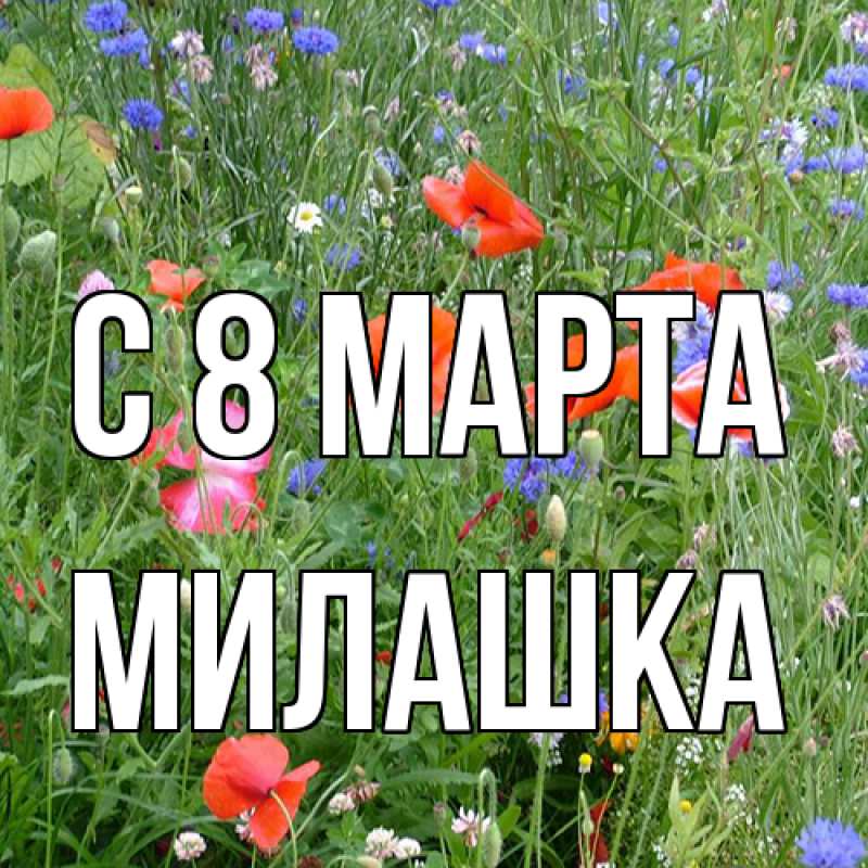 Картинка C 8 МАРТА, Милашка